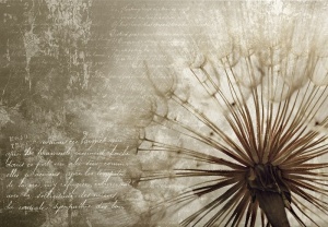 Poster Mural - 11683