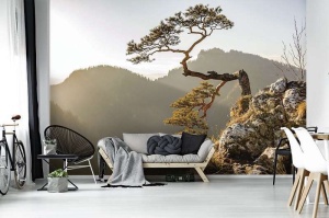 Arbre solitaire, paysage de montagne en arrière-plan - 10511