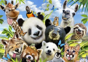 Papier peint pour chambre d'enfants - Animaux variés - 12871