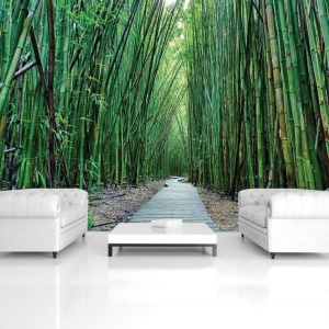 Papier peint - Promenade dans un jardin zen de bambou - 12632