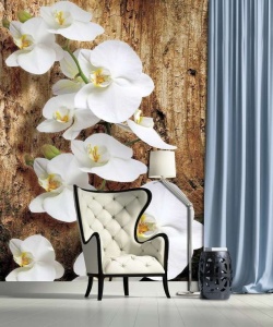 Papier peint d'orchidées blanches - 1017A