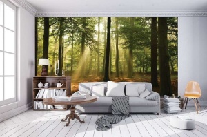 Papier peint - Rayons de soleil dans la forêt - 10331
