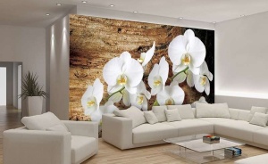 Poster d'orchidées blanches -1017