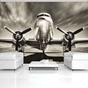 Poster en noir et blanc d'ancien avion - 11728