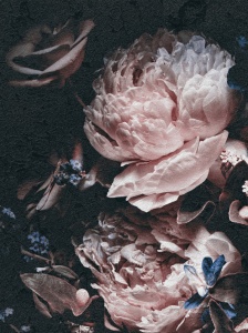 Poster floral tendre avec accents roses - 13525A