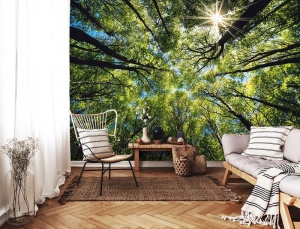 Poster Mural - 14223
