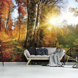 Papier peint - Forêt d'automne colorée au lever du soleil - 12108