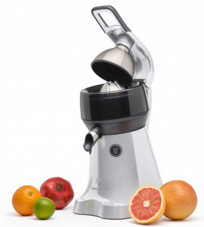 Presa pentru citrice si rodii the Juicer Espressions, motor profesional 340W, 1450 rpm, Inox