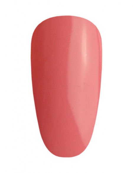 NAILS 144 Rumba