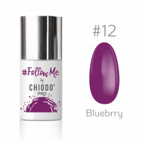 ChiodoPro FollowMe 12