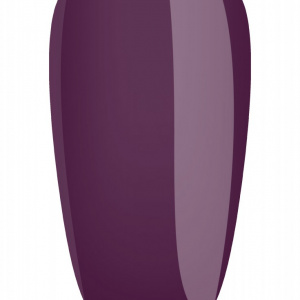 Gel Color NAILS Boom 058