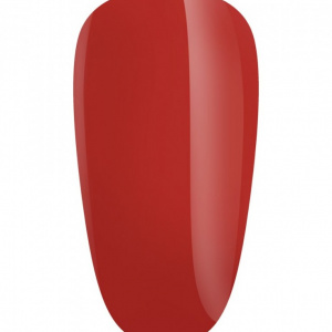 Gel Color NAILS Boom 011