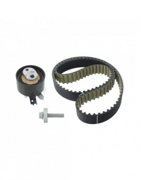 Kit distributie 130C19656R