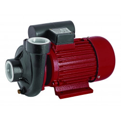 Pompa de apa centrifugala de suprafata 1500W RD-2DK20