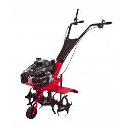 Motosapatoare 161cc 3kw (4 CP) 600mm RD-T09