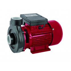 Pompa de apa centrifugala de suprafata 750W RD-1.5DK20