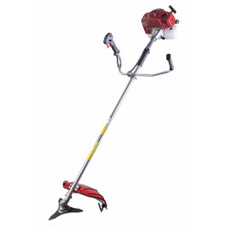 Motocoasa cu lama si fir 2.2kw RD-GBC21