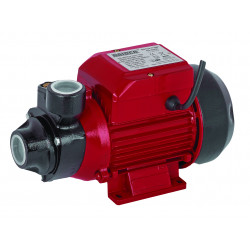 Pompa de apa centrifugala de suprafata periferica 500W RD-WP60