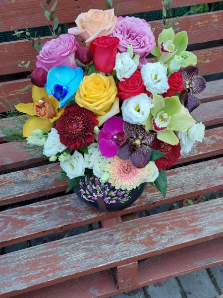 Culori florale!