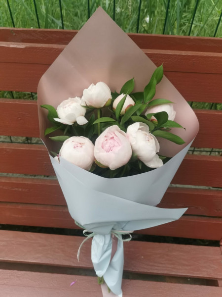 Buchet 7 bujori
