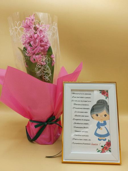 Pachet Martisor -Bunica