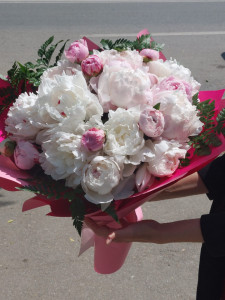 Buchet 29 bujori