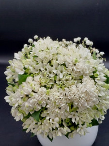 Buchet Bouvardia alb