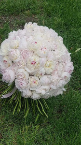 Buchet 101 bujori albi