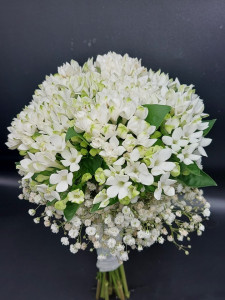 Buchet Bouvardia alb