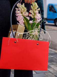Pachet cadou Martisor