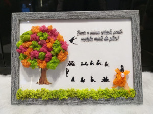 Tablou cu licheni - Educatoare, Invatatoare