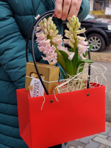 Pachet cadou Martisor
