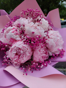 Buchet 7 bujori roz