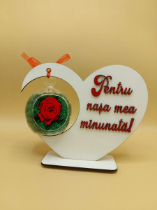Trandafir criogenat pentru nasa!