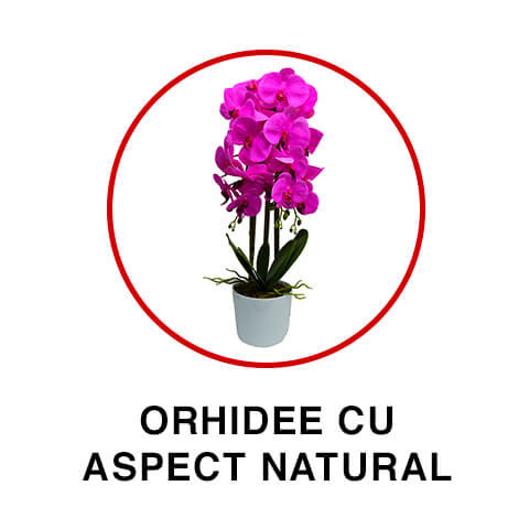 Gama de produse Orhidee