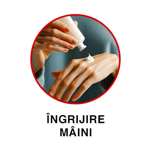 Sapun de maini