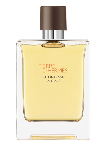 Terre D'Hermés Eau Intense Vetiver