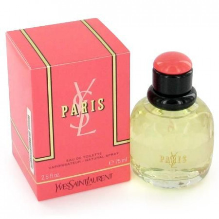 YSL Paris