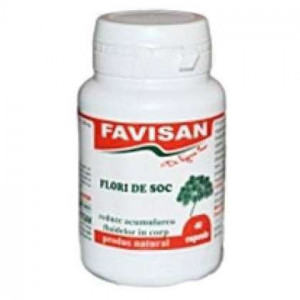 Flori de soc, 40 capsule, Favisan