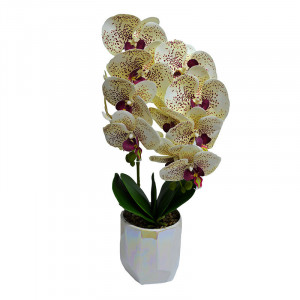 Orhidee cu aspect natural in ghiveci ceramic alb, 50 cm