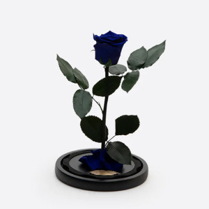 Cupola cu trandafir criogenat pe pat de petale, negru