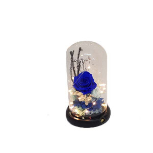 Buchet de trandafiri criogenati in cupola de sticla cu LED, albastru