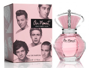 One Direction Our Moment