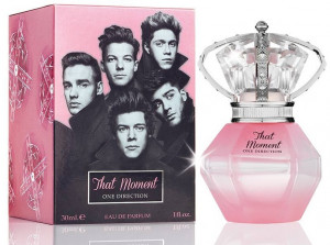 One Direction That Moment