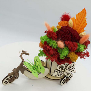 Decoratiune 4 Seasons, cu licheni stabilizati, flori criogenate si uscate, in bicicleta de lemn, primavara, 25x30 cm