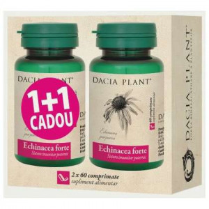 Echinacea Forte Dacia Plant 60+60 comprimate