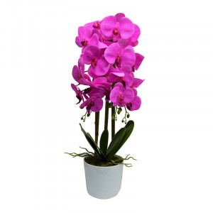 Orhidee cu aspect natural in ghiveci ceramic alb, 60 cm