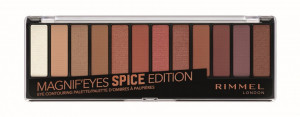 Paleta de Farduri Rimmel London Magnifeyes 005 Spice Edition