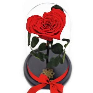 Cupola cu Trandafir Criogenat in forma de Inima Cupidon, rosu