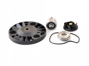Set reparatie pompa apa Piaggio Beverly RST 125